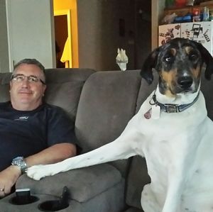 Meet your Posher, West